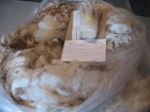 First's 2010 raw fleece