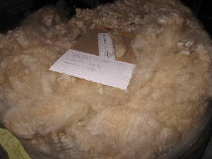 Hershey's 2009 raw fleece
