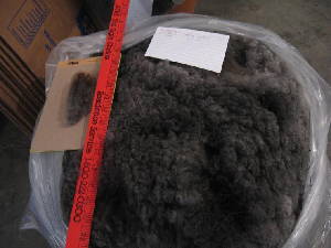 Kendra's 2010 raw fleece in bag