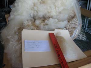 Jughead's 2010 raw fleece in bag